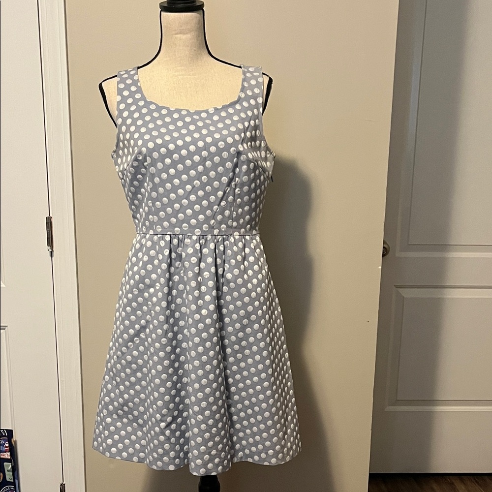The Limited Blue and White Polka Dot Dress